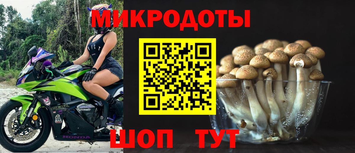 Галлюциногенные грибы Psilocybine cubensis  Вход с VPN  Ангарск  Галлюциногенные грибы MAGIC MUSHROOMS 